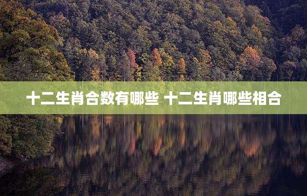 十二生肖合数有哪些 十二生肖哪些相合