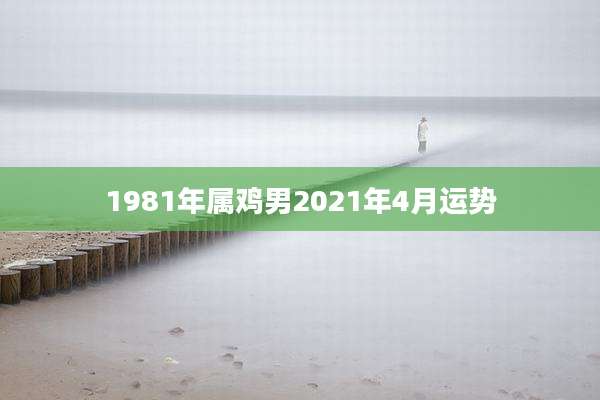 1981年属鸡男2021年4月运势