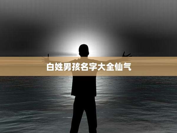 白姓男孩名字大全仙气
