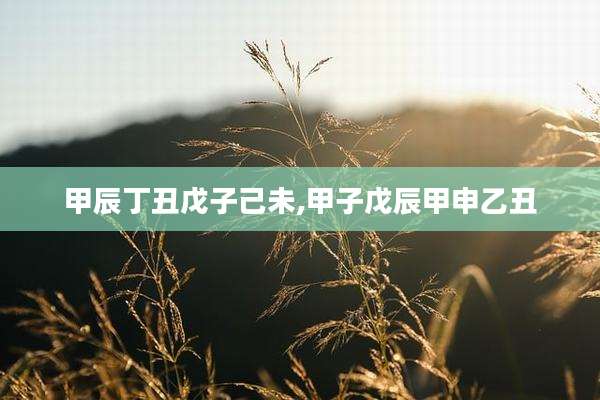甲辰丁丑戊子己未,甲子戊辰甲申乙丑