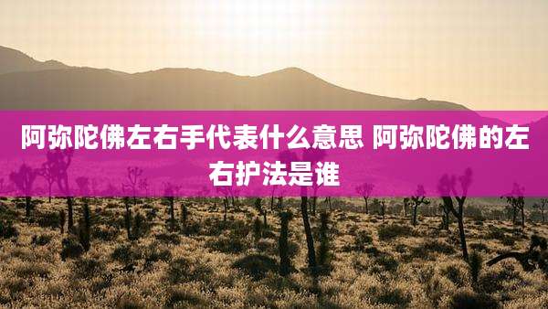 阿弥陀佛左右手代表什么意思 阿弥陀佛的左右护法是谁