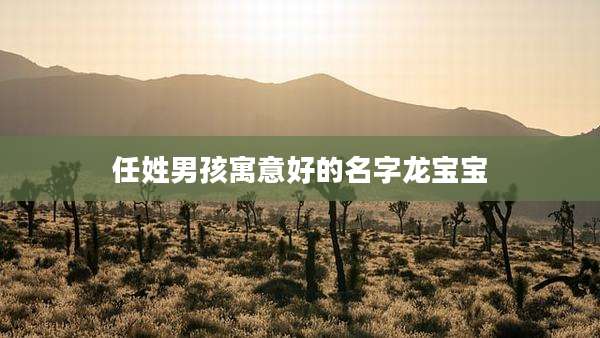 任姓男孩寓意好的名字龙宝宝