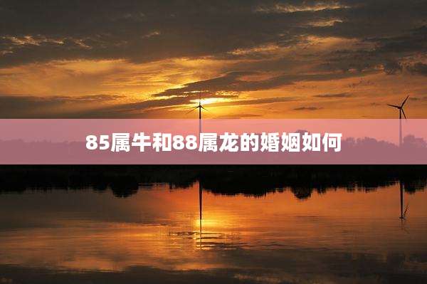 85属牛和88属龙的婚姻如何