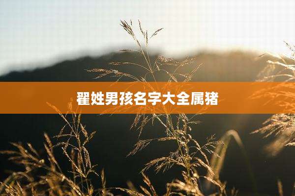 翟姓男孩名字大全属猪