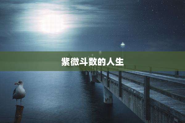 紫微斗数的人生