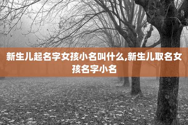 新生儿起名字女孩小名叫什么,新生儿取名女孩名字小名