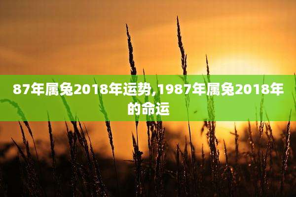 87年属兔2018年运势,1987年属兔2018年的命运