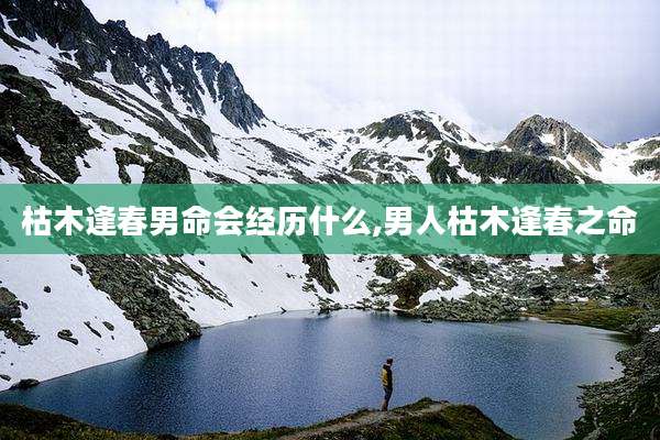 枯木逢春男命会经历什么,男人枯木逢春之命
