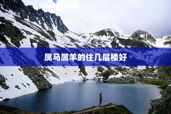属马属羊的住几层楼好