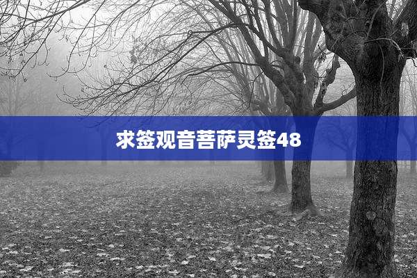 求签观音菩萨灵签48