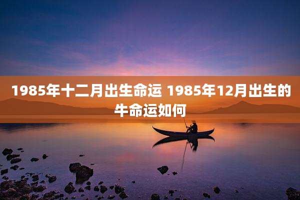1985年十二月出生命运 1985年12月出生的牛命运如何
