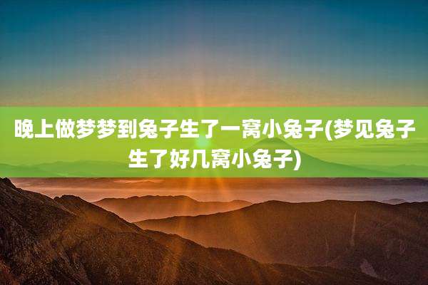 晚上做梦梦到兔子生了一窝小兔子(梦见兔子生了好几窝小兔子)