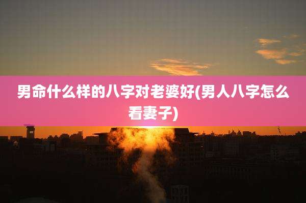 男命什么样的八字对老婆好(男人八字怎么看妻子)