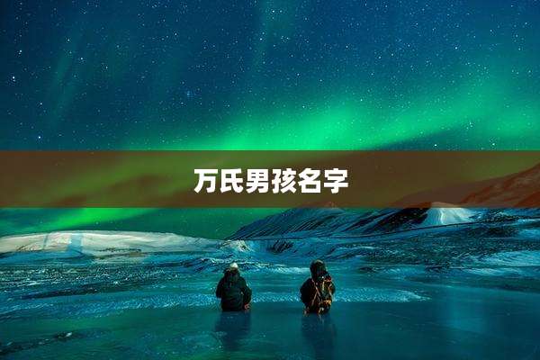 万氏男孩名字