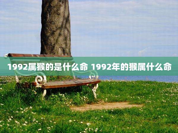 1992属猴的是什么命 1992年的猴属什么命