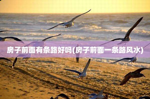 房子前面有条路好吗(房子前面一条路风水)