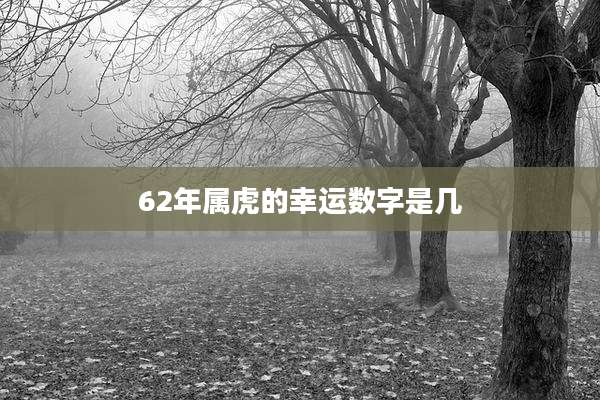 62年属虎的幸运数字是几
