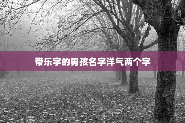 带乐字的男孩名字洋气两个字