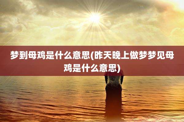 梦到母鸡是什么意思(昨天晚上做梦梦见母鸡是什么意思)