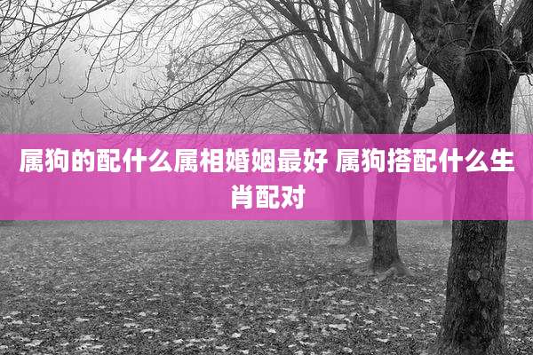 属狗的配什么属相婚姻最好 属狗搭配什么生肖配对