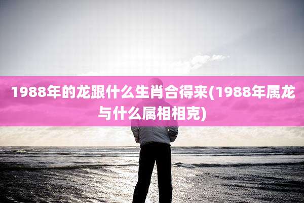 1988年的龙跟什么生肖合得来(1988年属龙与什么属相相克)