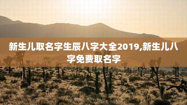 新生儿取名字生辰八字大全2019,新生儿八字免费取名字