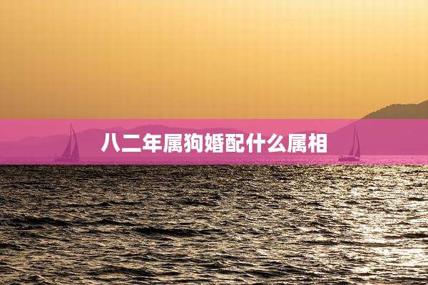 八二年属狗婚配什么属相