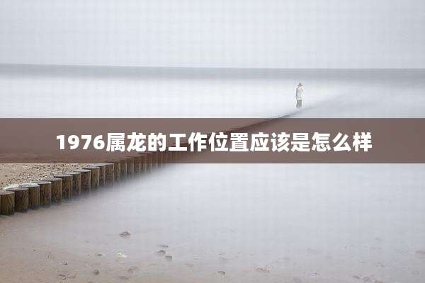 1976属龙的工作位置应该是怎么样