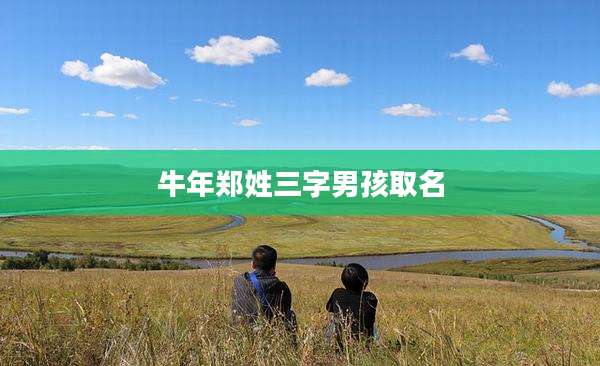 牛年郑姓三字男孩取名