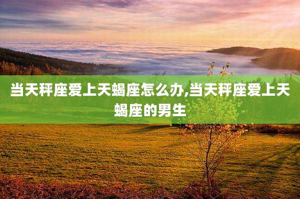 当天秤座爱上天蝎座怎么办,当天秤座爱上天蝎座的男生