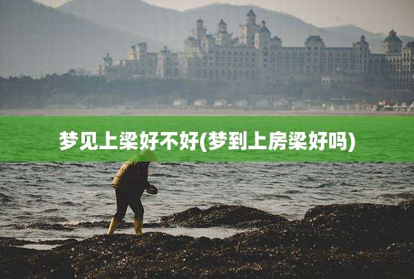梦见上梁好不好(梦到上房梁好吗)
