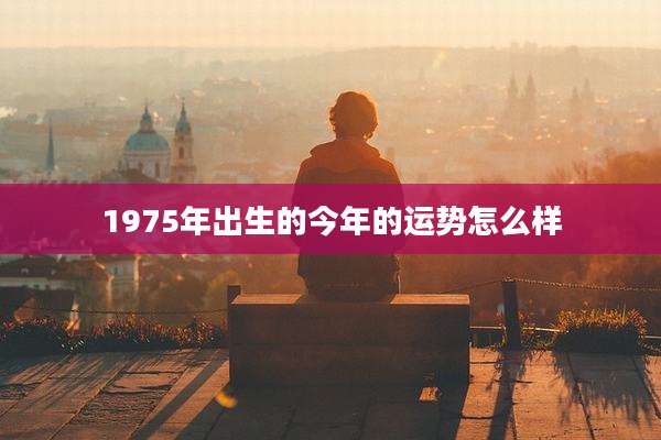 1975年出生的今年的运势怎么样