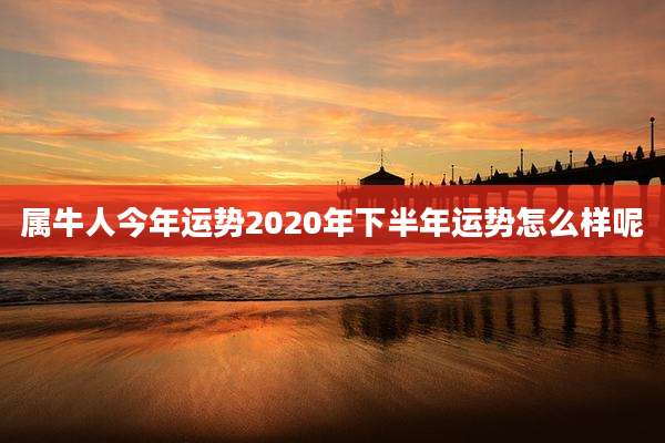 属牛人今年运势2020年下半年运势怎么样呢
