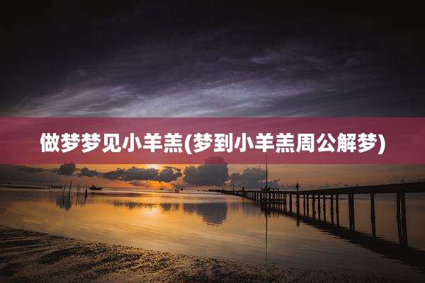 做梦梦见小羊羔(梦到小羊羔周公解梦)