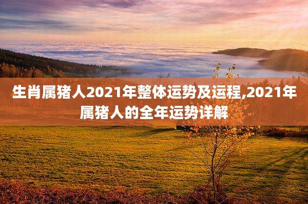 生肖属猪人2021年整体运势及运程,2021年属猪人的全年运势详解