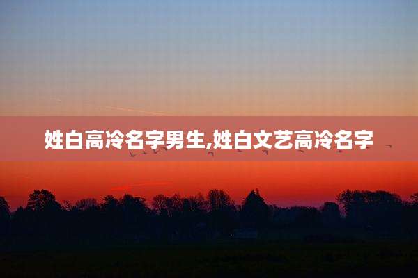 姓白高冷名字男生,姓白文艺高冷名字
