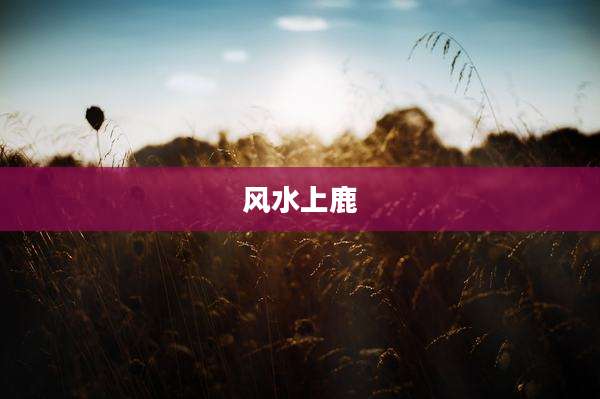 风水上鹿