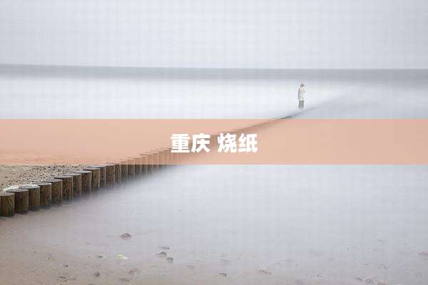 重庆 烧纸