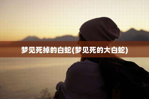 梦见死掉的白蛇(梦见死的大白蛇)