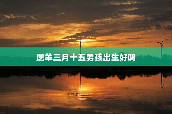 属羊三月十五男孩出生好吗