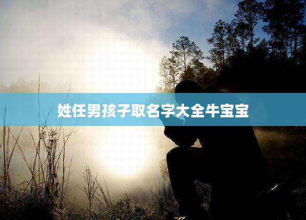 姓任男孩子取名字大全牛宝宝