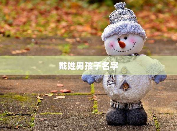 戴姓男孩子名字