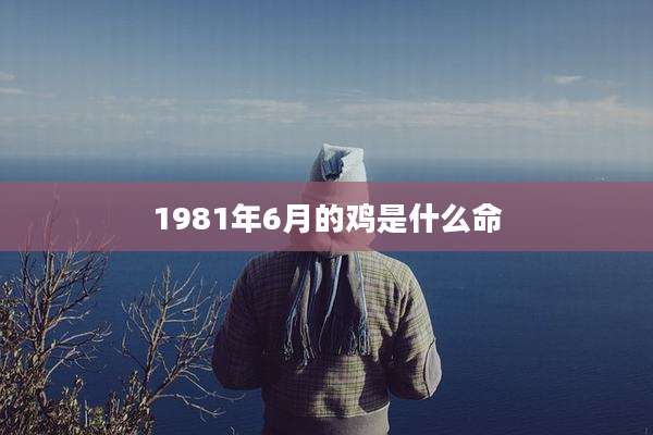 1981年6月的鸡是什么命