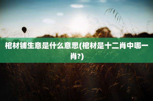 棺材铺生意是什么意思(棺材是十二肖中哪一肖?)