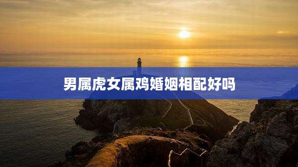 男属虎女属鸡婚姻相配好吗