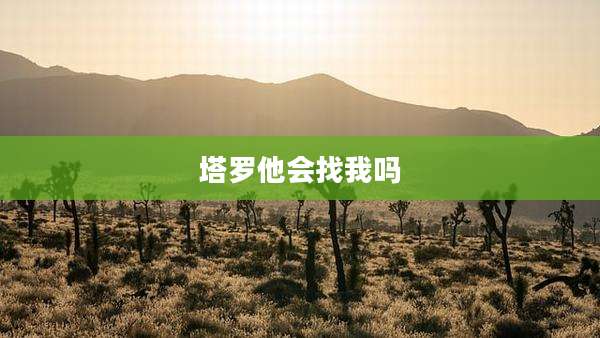 塔罗他会找我吗