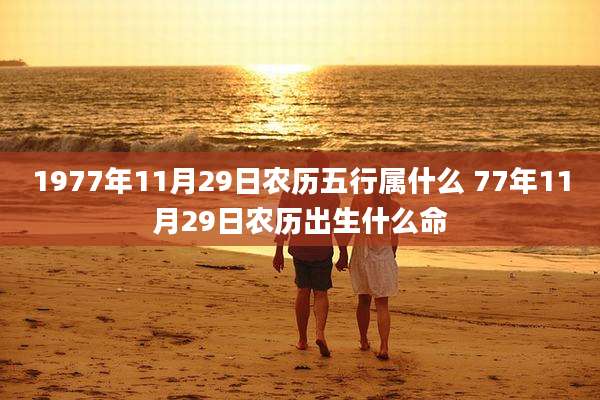 1977年11月29日农历五行属什么 77年11月29日农历出生什么命