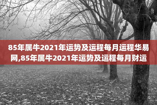 85年属牛2021年运势及运程每月运程华易网,85年属牛2021年运势及运程每月财运