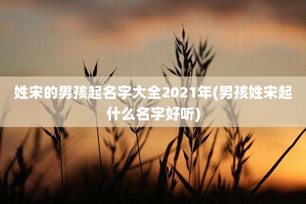 姓宋的男孩起名字大全2021年(男孩姓宋起什么名字好听)