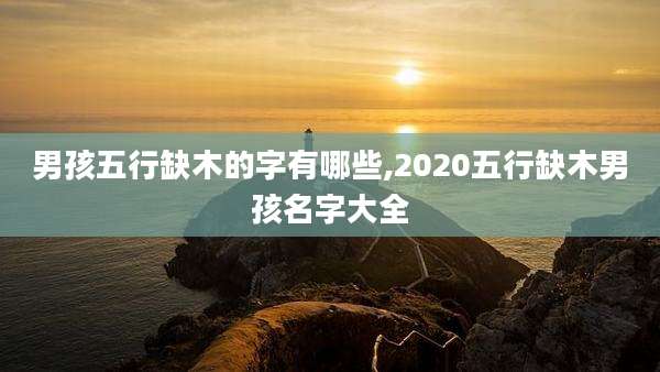 男孩五行缺木的字有哪些,2020五行缺木男孩名字大全